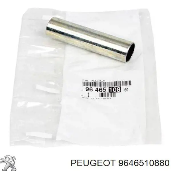 Форсунки (ремкомплект) Peugeot/Citroen 9646510880 ціна, від 3.40 USD
