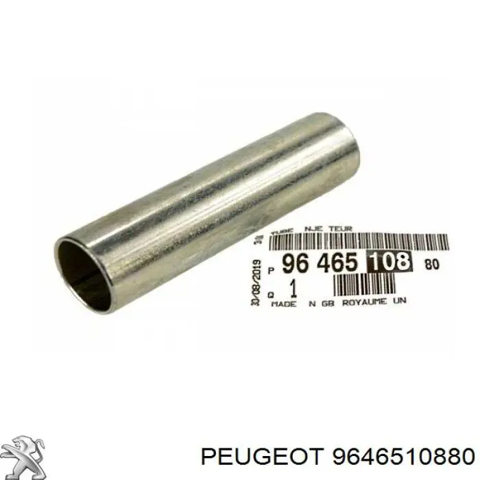 9646510880 Peugeot/Citroen Ремкомплект форсунки