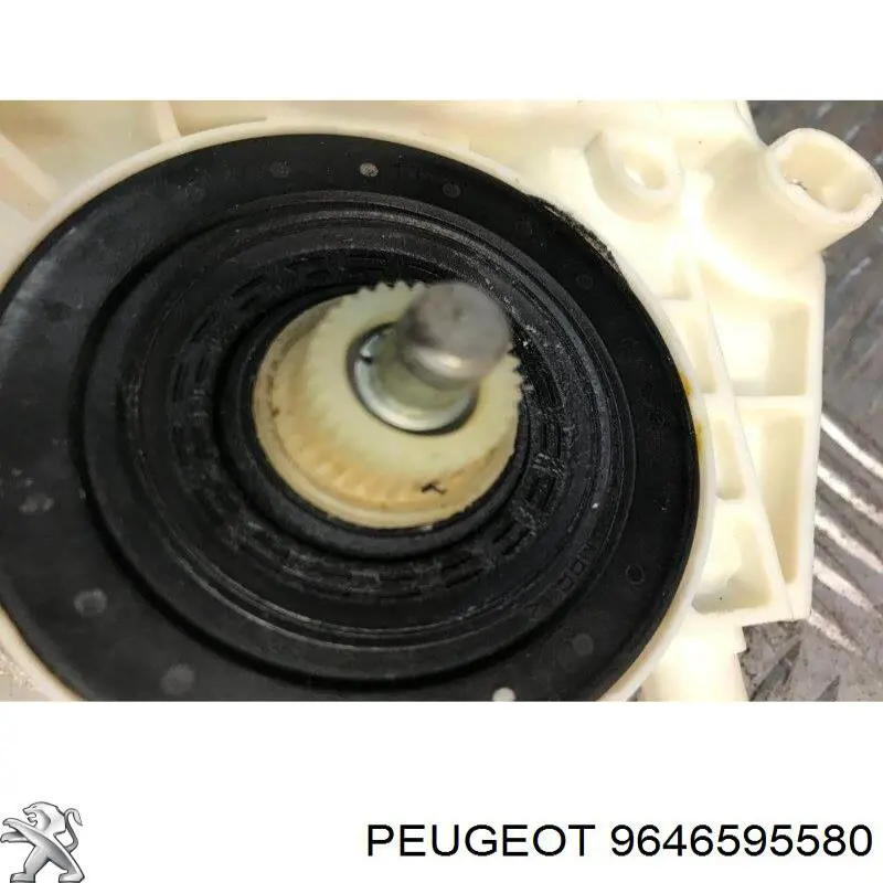 Купити 9646595580 Peugeot/Citroen 