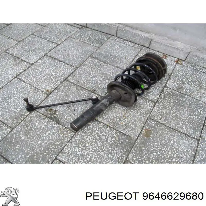 Купити 9646629680 Peugeot/Citroen 