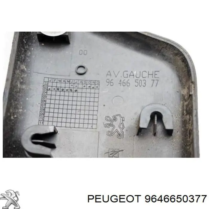  9646650377 Peugeot/Citroen
