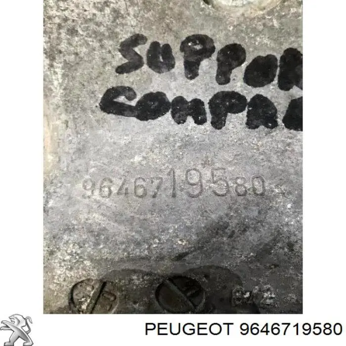 Купити 9646719580 Peugeot/Citroen Кронштейн генератора