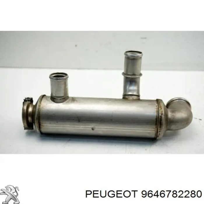 9646782280 Peugeot/Citroen 