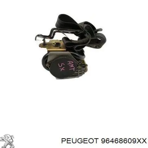  96468609XX Peugeot/Citroen