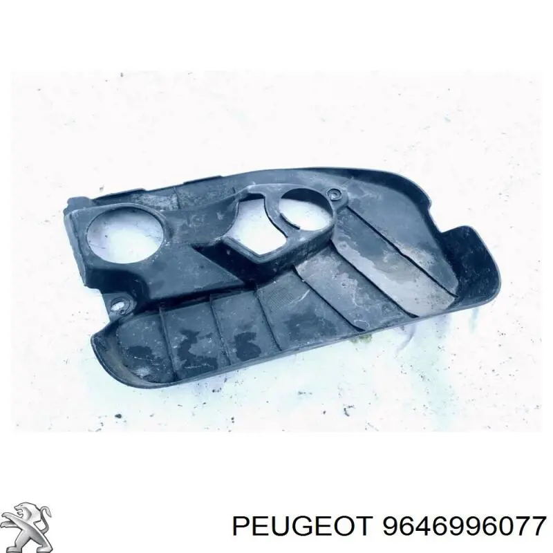 715913 Peugeot/Citroen Екран двигуна