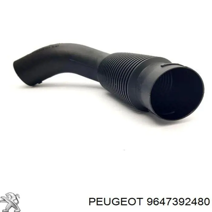 9647392480 Peugeot/Citroen 