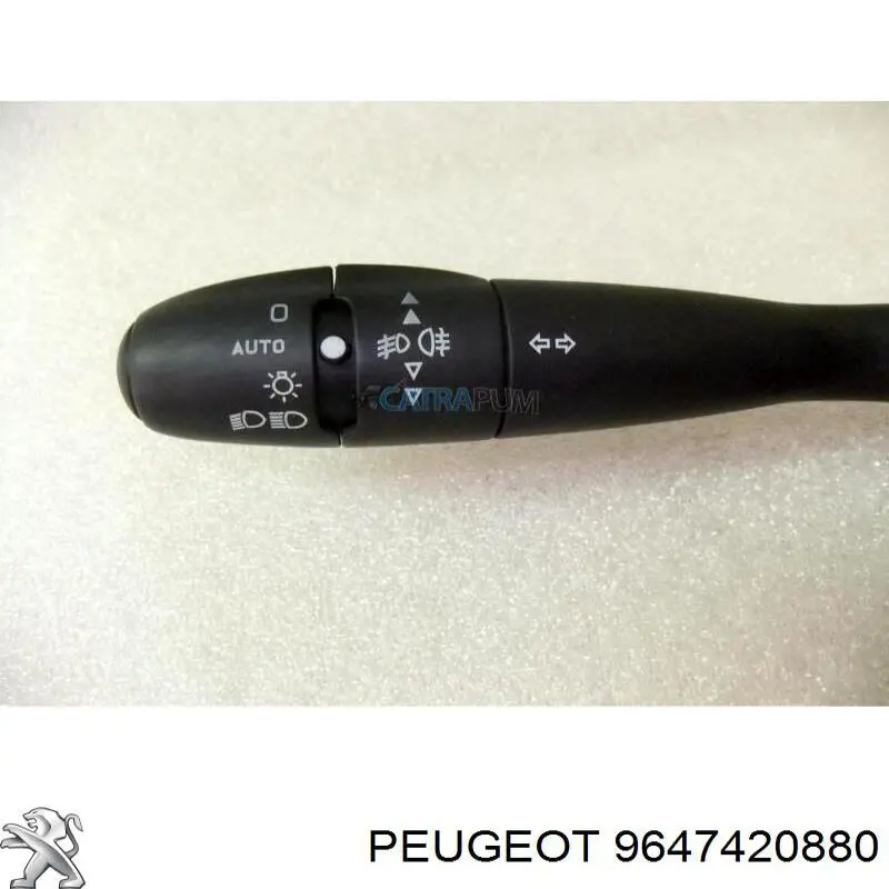  9647420880 Peugeot/Citroen