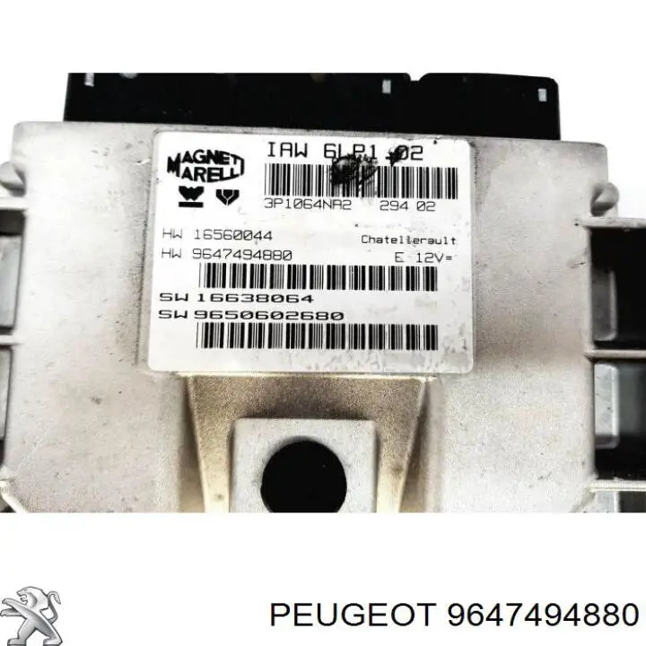 9647494880 Peugeot/Citroen 