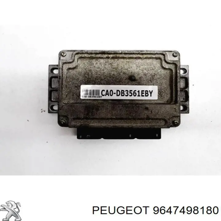  9647498180 Peugeot/Citroen