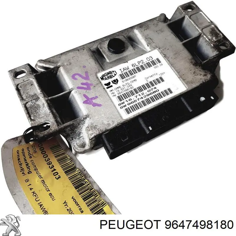 9647498180 Peugeot/Citroen 