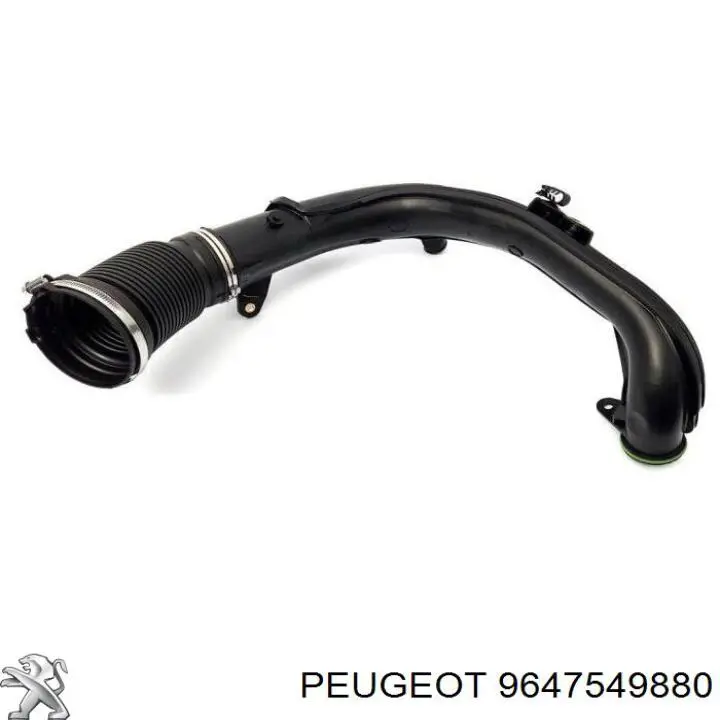 Купити 9647549880 Peugeot/Citroen 
