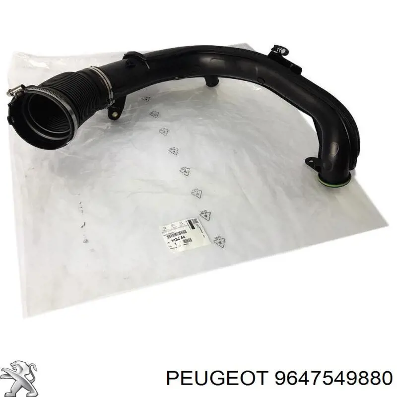 9647549880 Peugeot/Citroen 