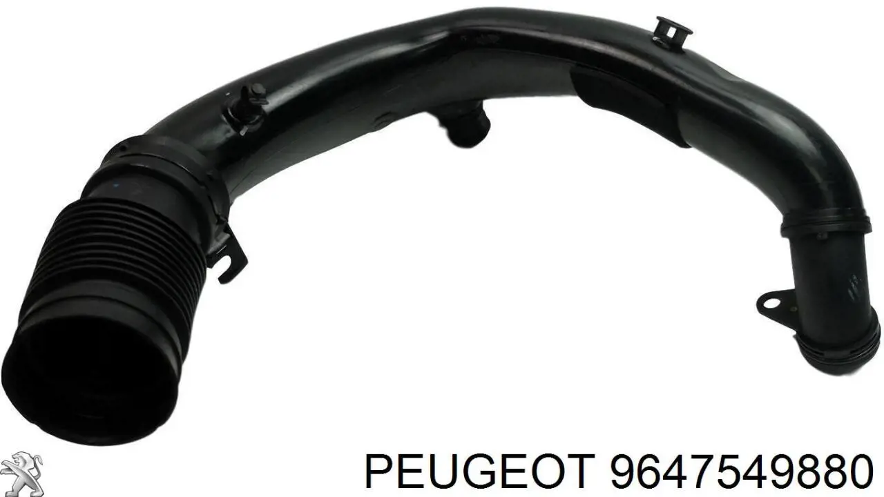  9647549880 Peugeot/Citroen