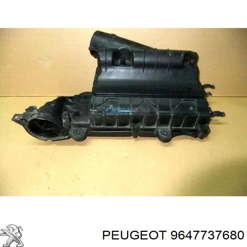  9647737680 Peugeot/Citroen