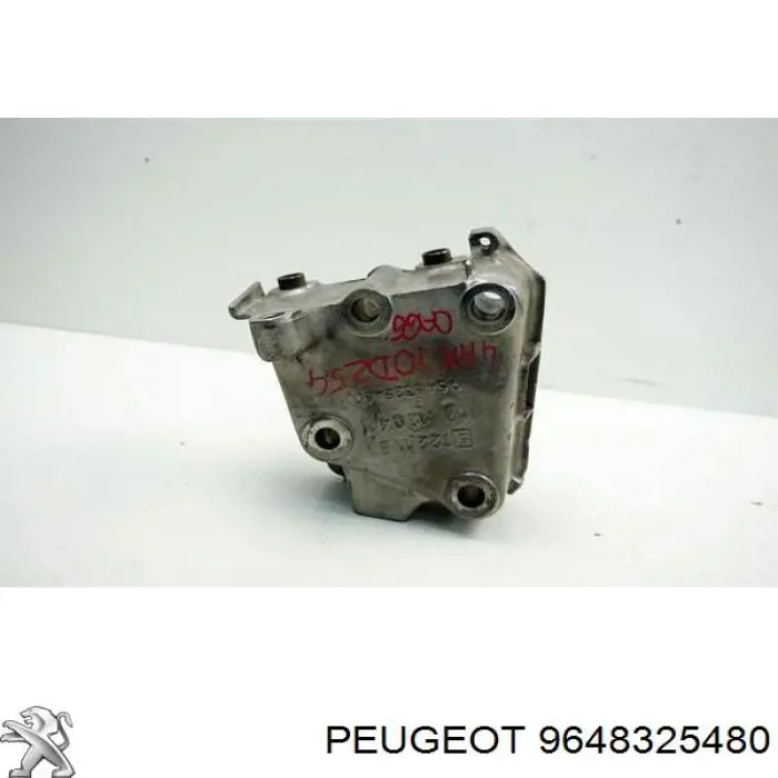 9648325480 Peugeot/Citroen 