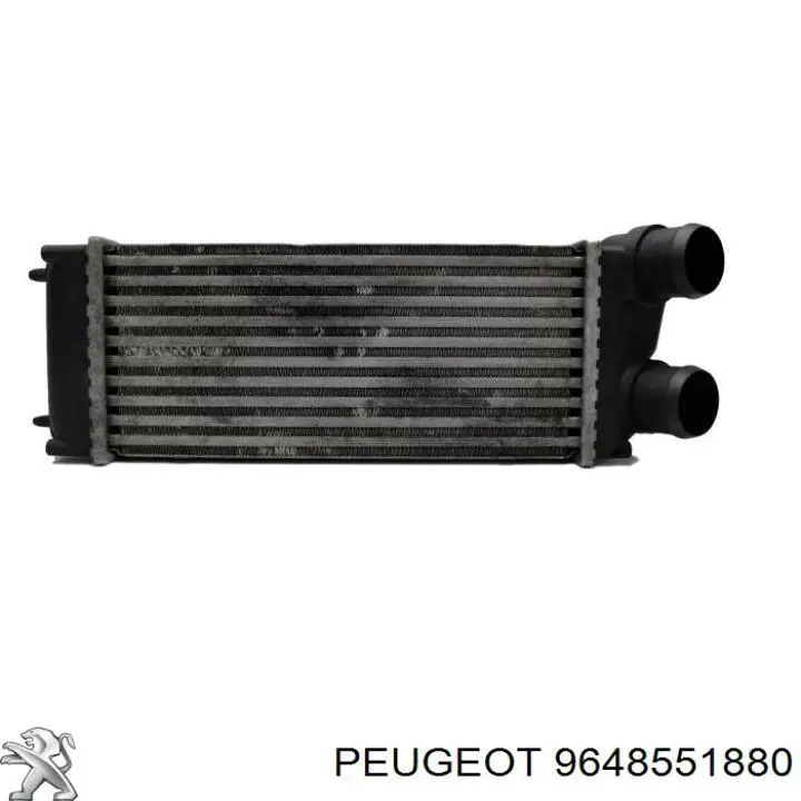 Система охолодження наддувочного повітря Peugeot/Citroen 9648551880 ціна, від 31.67 USD