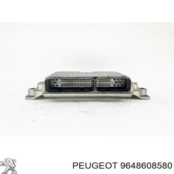 9648608580 Peugeot/Citroen 