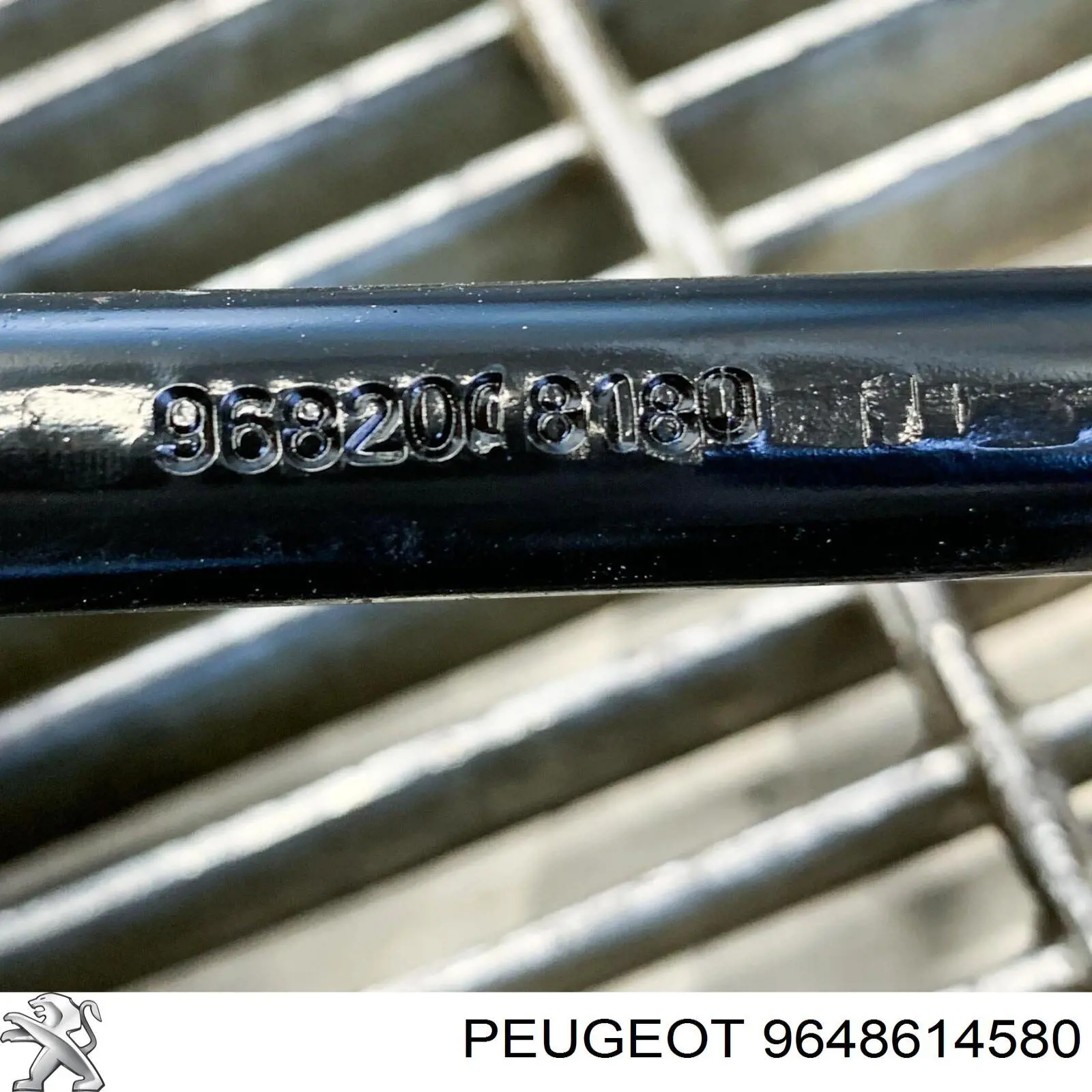 9648614580 Peugeot/Citroen 