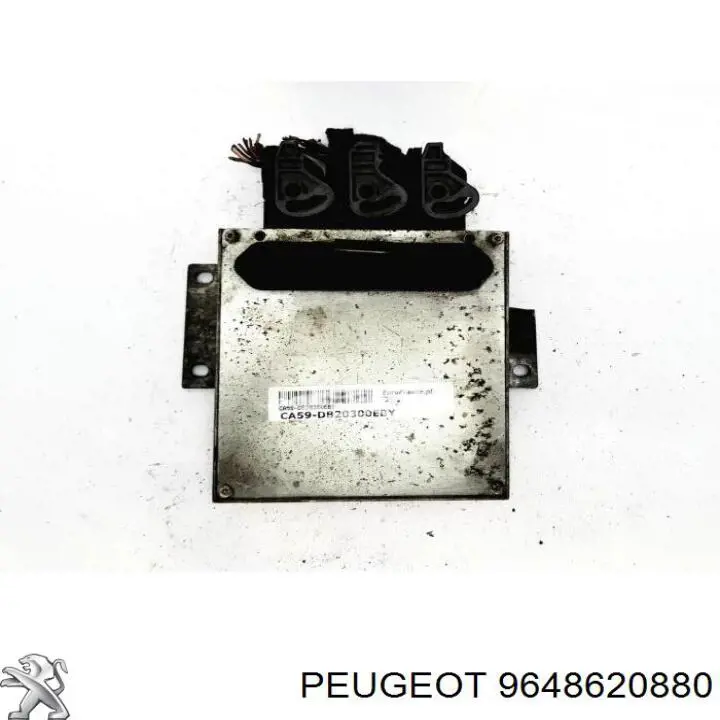  9648620880 Peugeot/Citroen