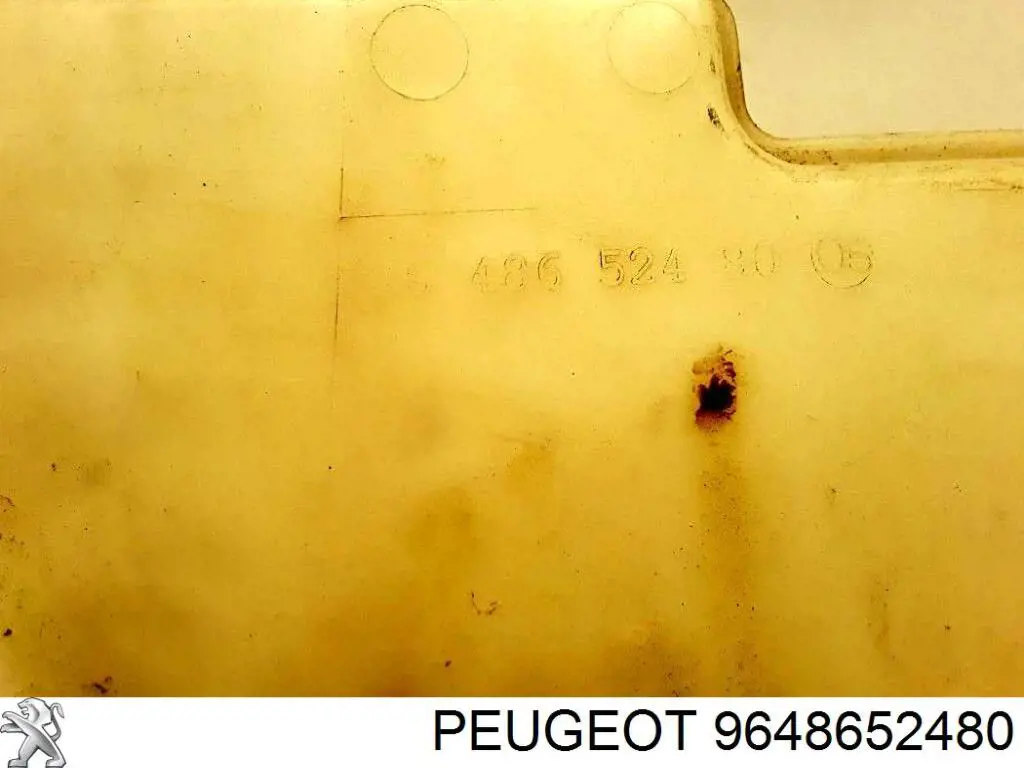  9648652480 Peugeot/Citroen