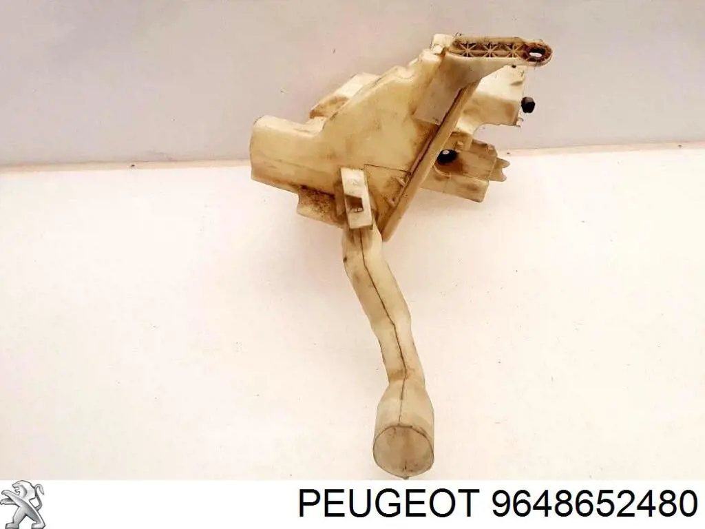 9648652480 Peugeot/Citroen 