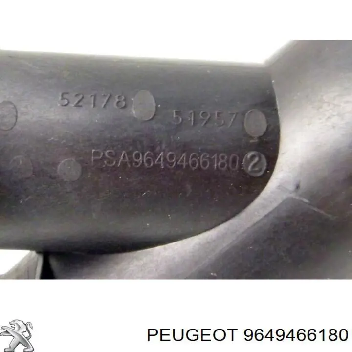 Купити 9649466180 Peugeot/Citroen 