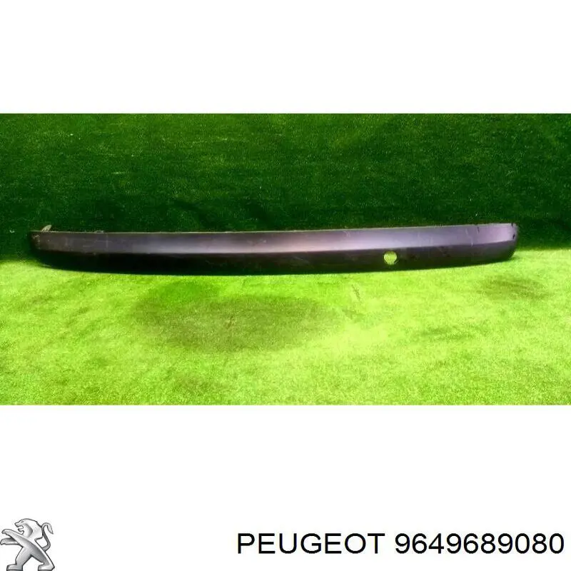 9649689080 Peugeot/Citroen 