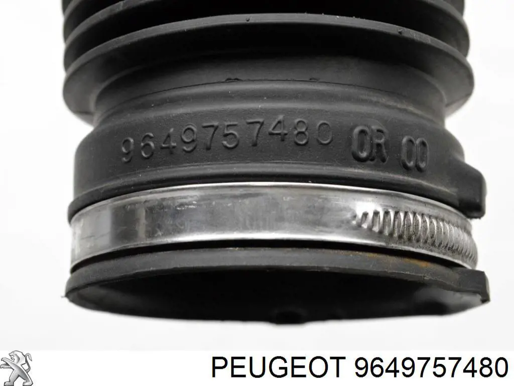 Купити 9649757480 Peugeot/Citroen 