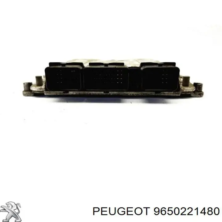 9650221480 Peugeot/Citroen 