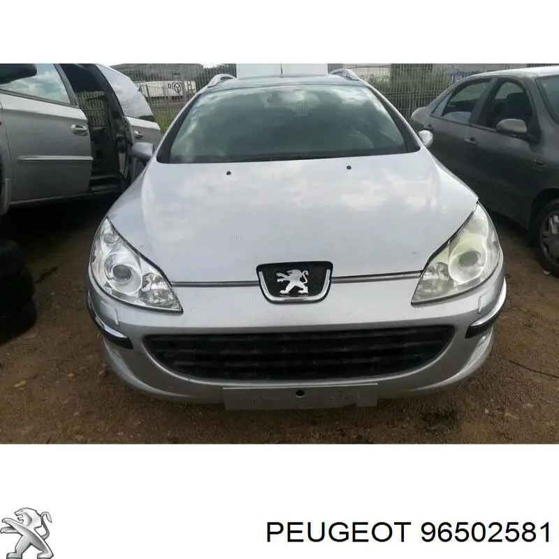 Купити 96502581 Peugeot/Citroen 