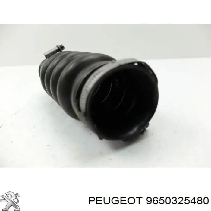 Купити 9650325480 Peugeot/Citroen 
