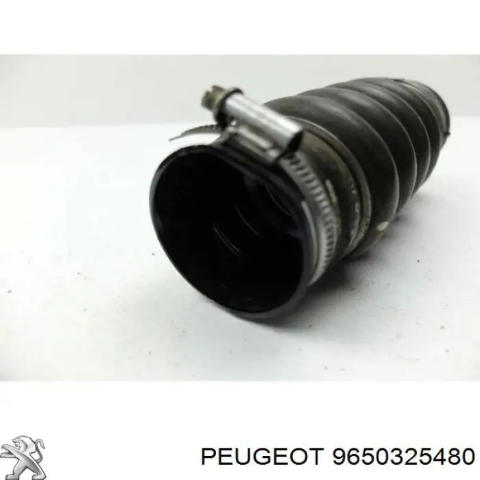  9650325480 Peugeot/Citroen