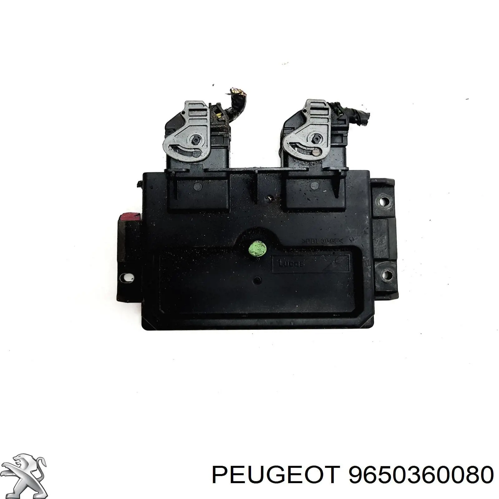 9650360080 Peugeot/Citroen 