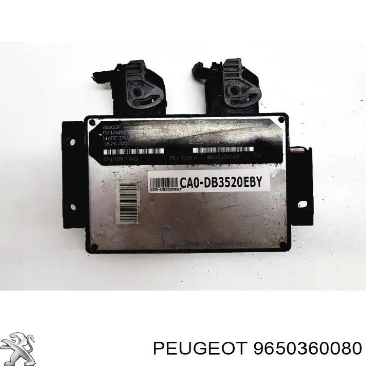 Купити 9650360080 Peugeot/Citroen 