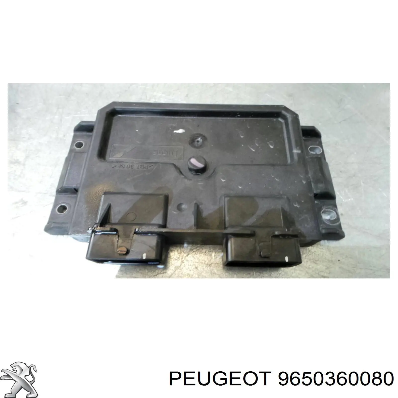  9650360080 Peugeot/Citroen