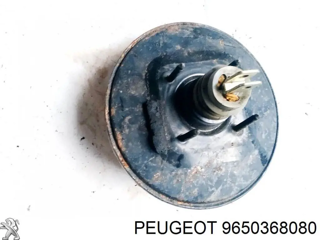 9650368080 Peugeot/Citroen
