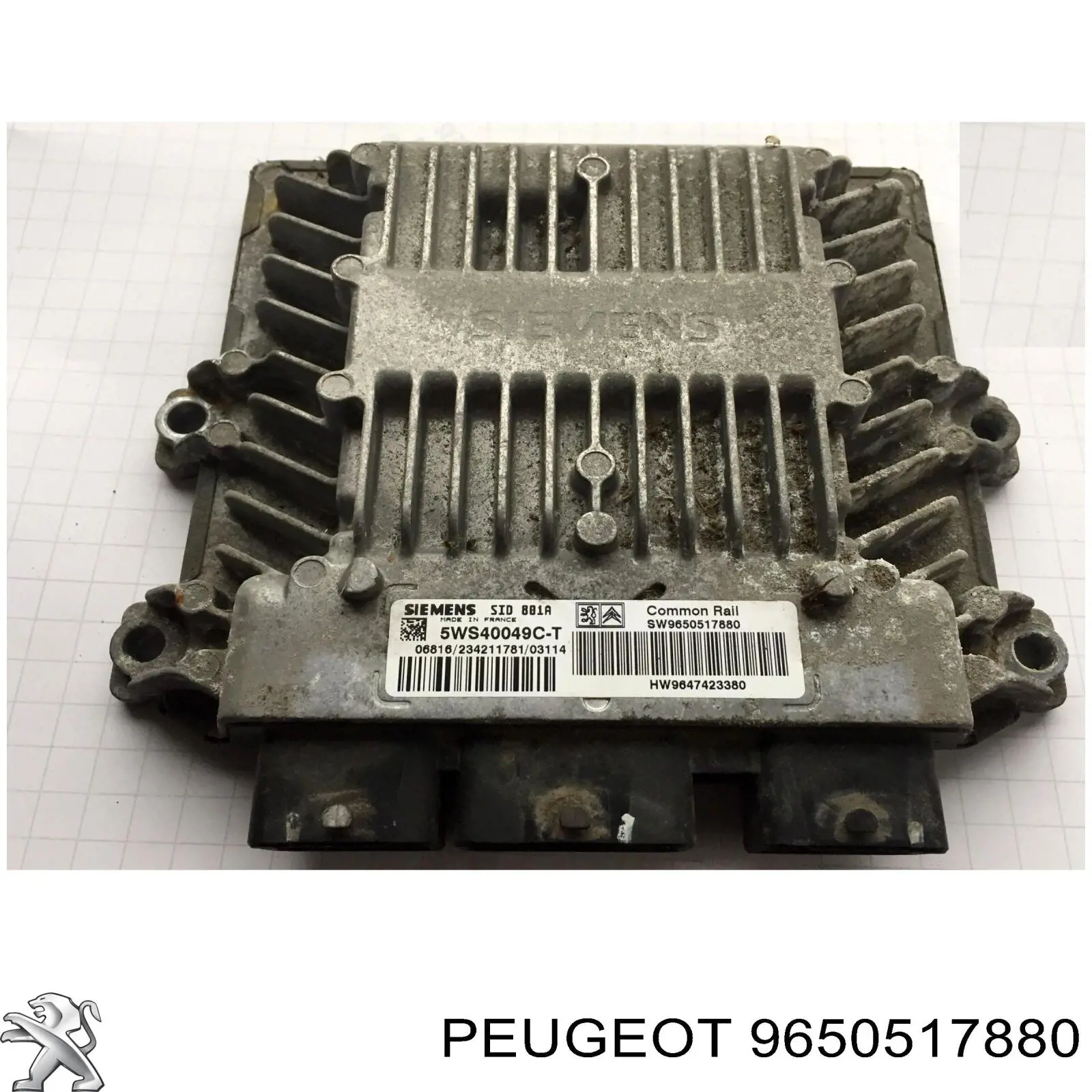  9650517880 Peugeot/Citroen