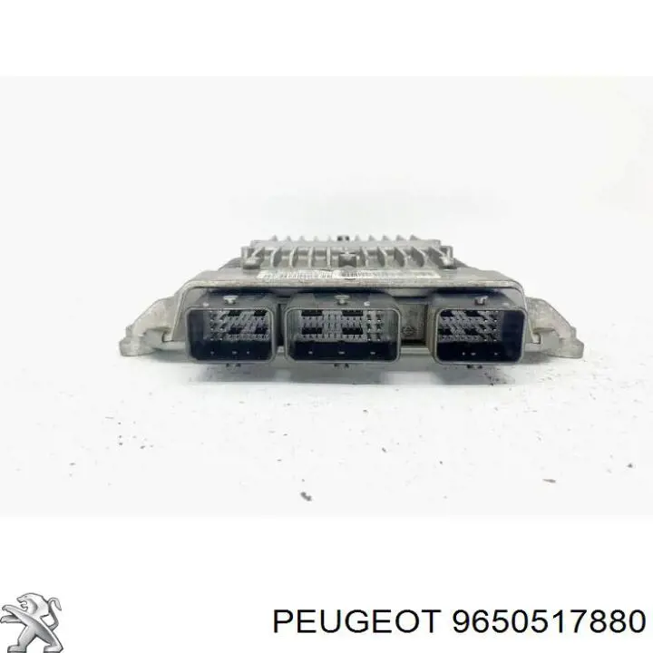  Peugeot/Citroen 9650517880