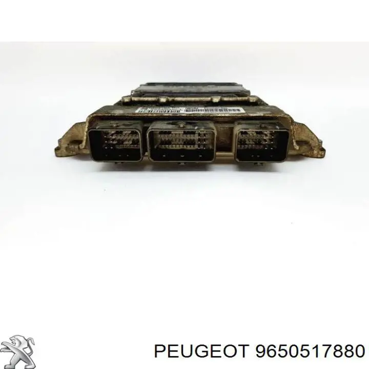 9650517880 Peugeot/Citroen 