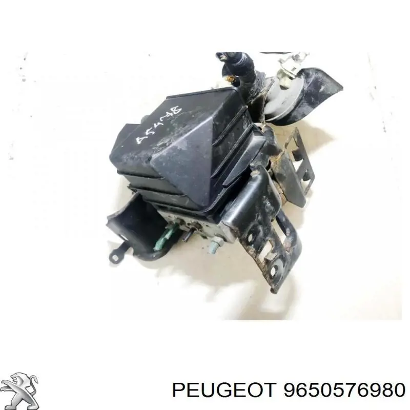 Купити 9650576980 Peugeot/Citroen 