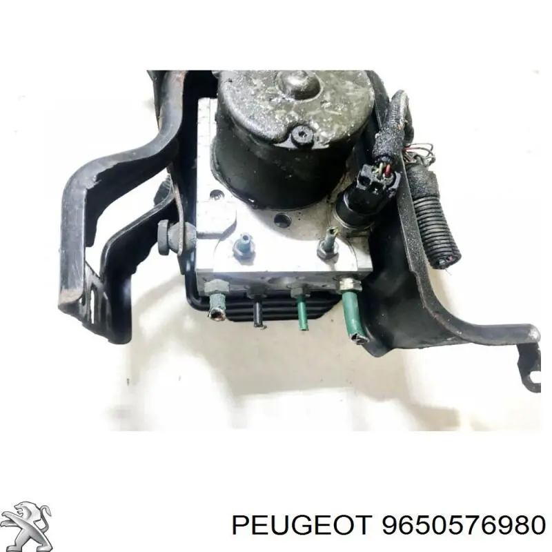  9650576980 Peugeot/Citroen