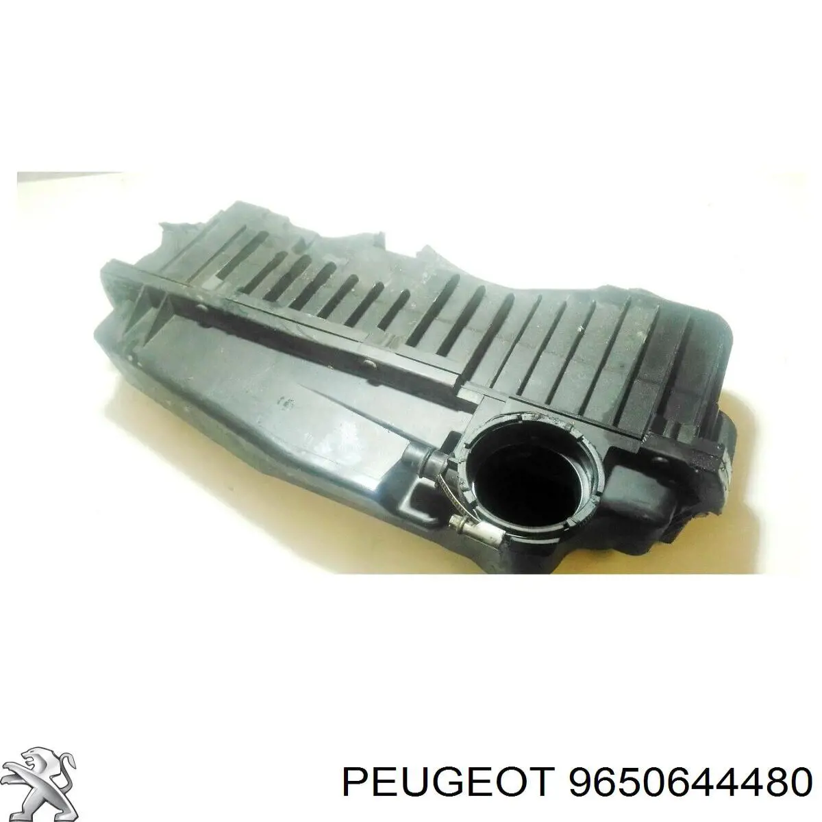  9650644480 Peugeot/Citroen