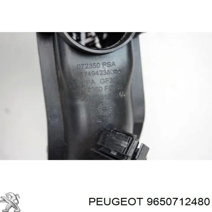  9650712480 Peugeot/Citroen