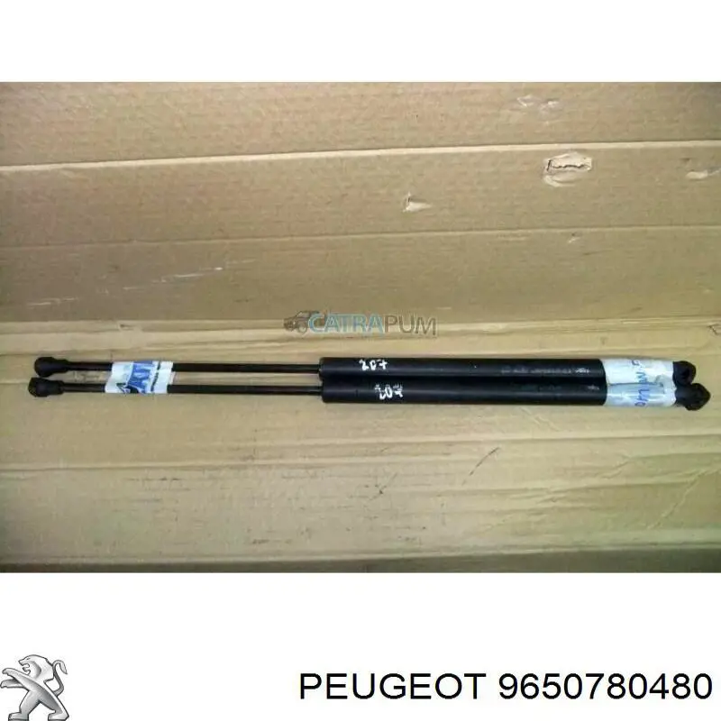 Купити 9650780480 Peugeot/Citroen 
