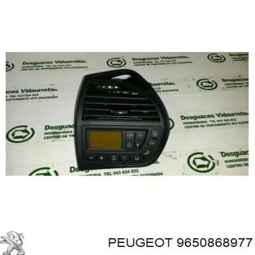 9650868977 Peugeot/Citroen 