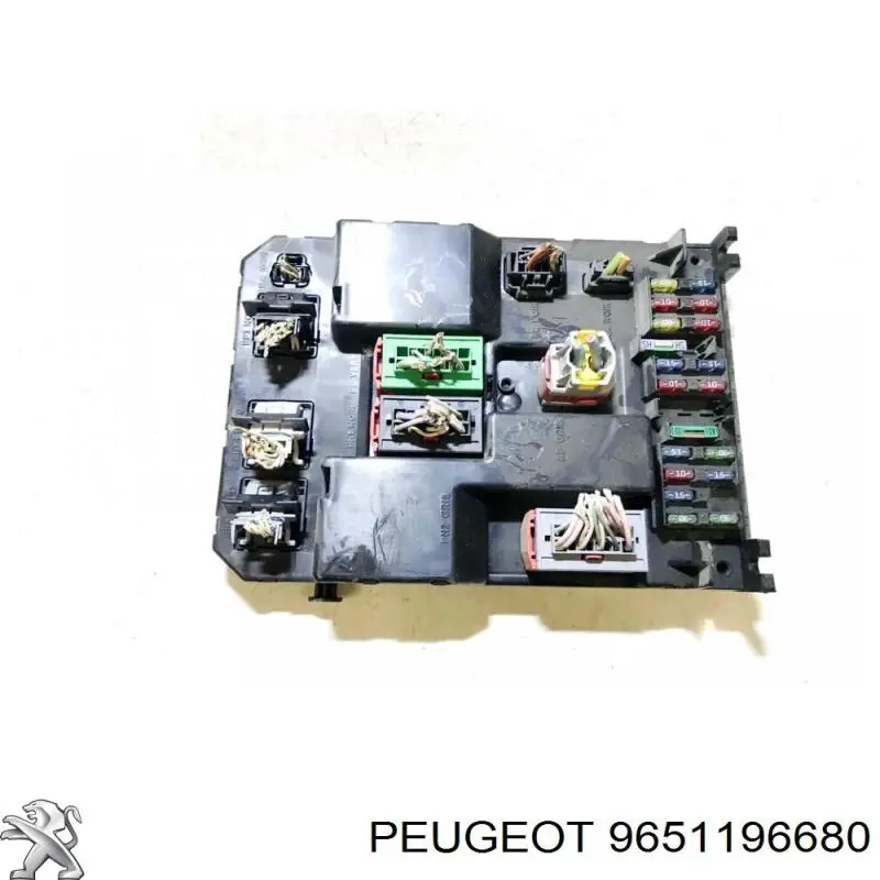 9651196680 Peugeot/Citroen 