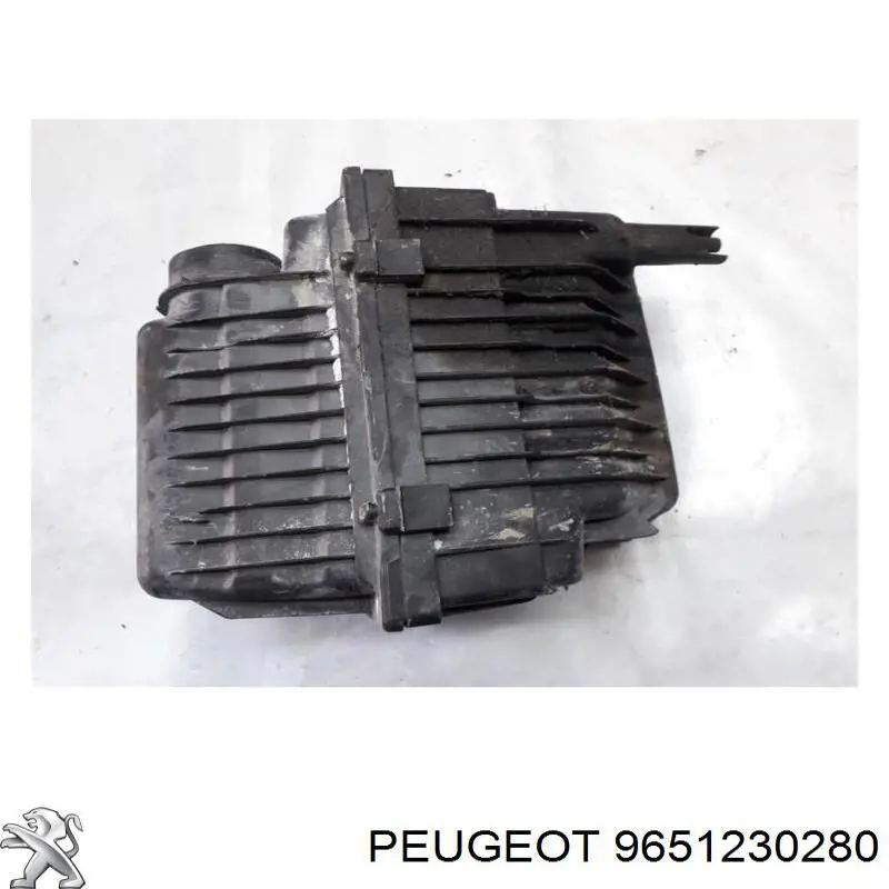 9651230280 Peugeot/Citroen 