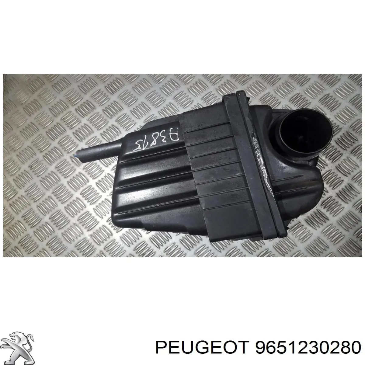  9651230280 Peugeot/Citroen