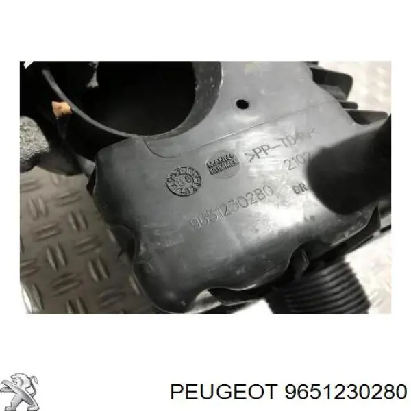 Купити 9651230280 Peugeot/Citroen 