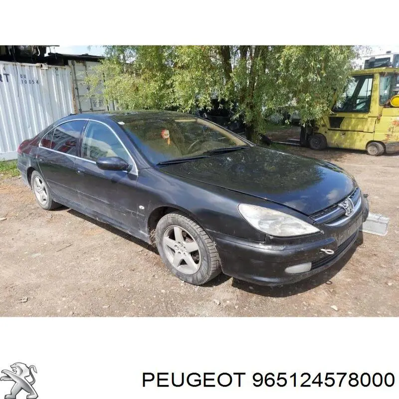  965124578000 Peugeot/Citroen